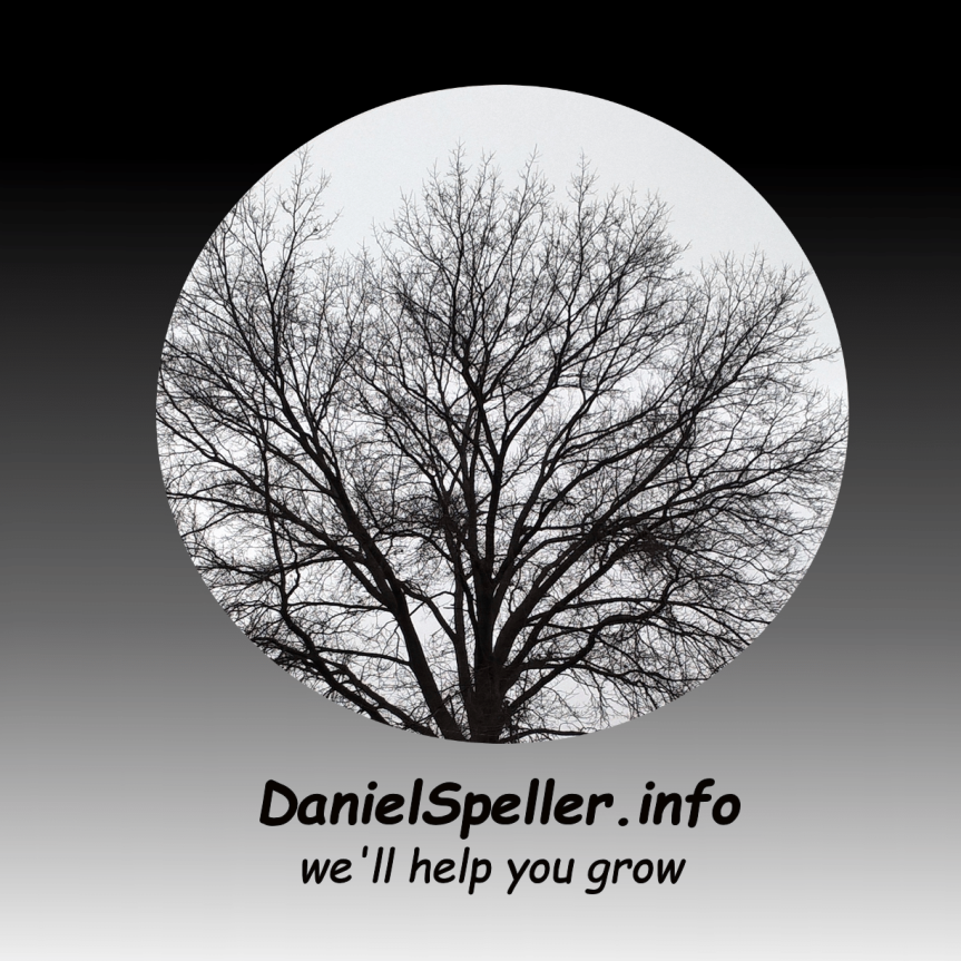 DHSpeller Support Services